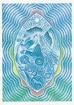 5th - Throat Chakra<br>I Speak  #63